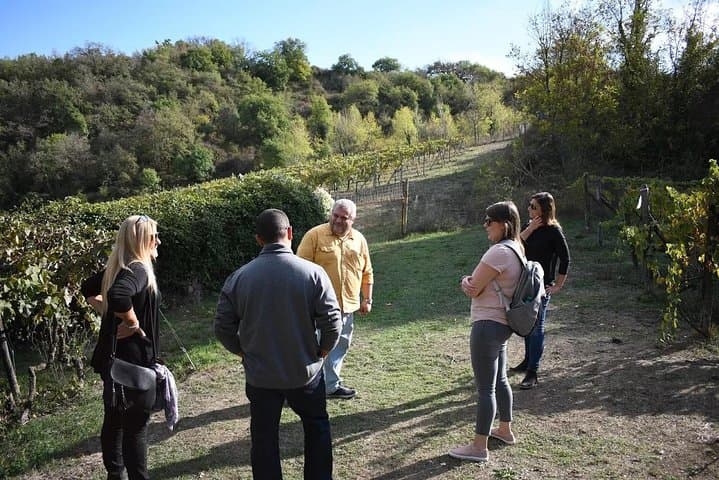 Brunello Vineyards Bus Tour