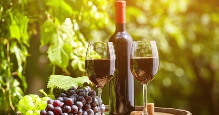 wine tour from livorno