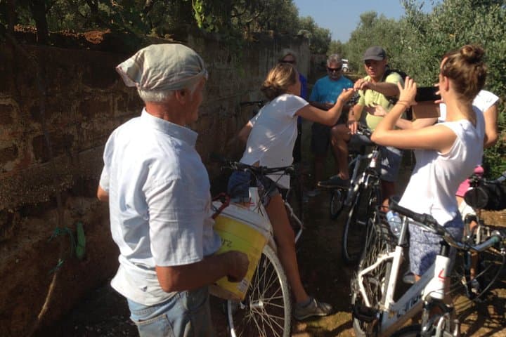 Private Bike Tour with Olive Oil Tasting