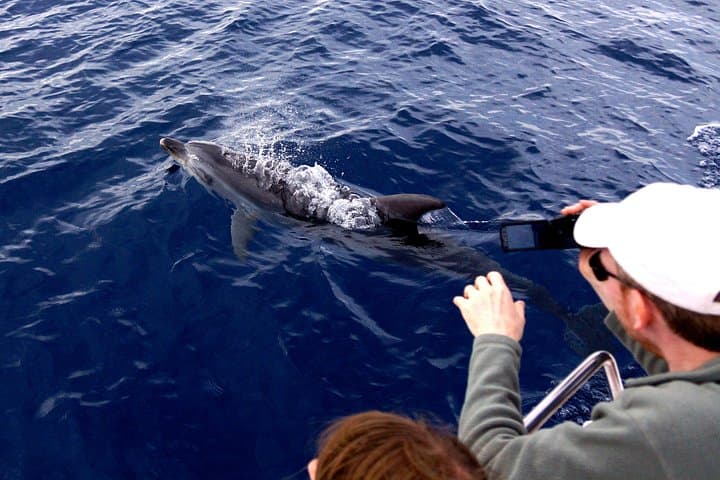 So close! A memorable memory :-)