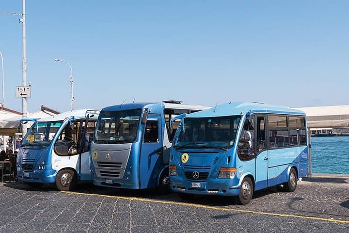 Naples: Guided Capri Tour with Blue Grotto Included every day