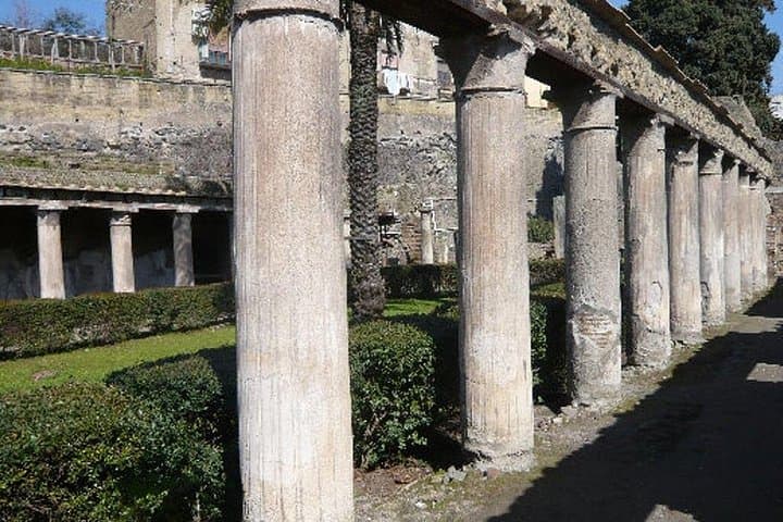 Herculaneum Ruins Private Half-Day Tour