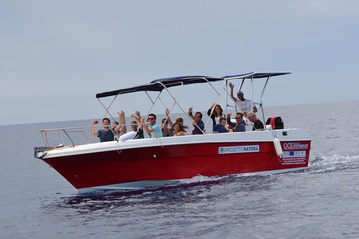 Our boat has been specially designed to ensure maximum comfort and at the same time to reduce the impact on the environment and dolphin disturbance.
