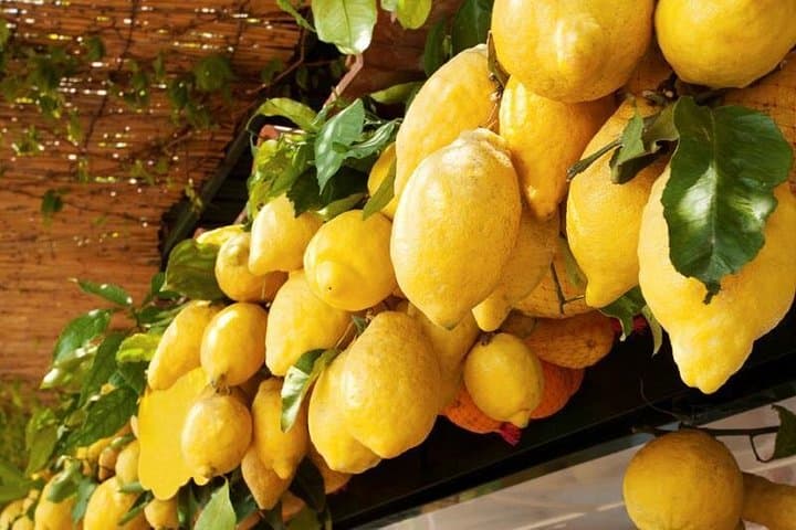 Amalfi coast lemon