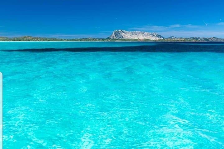 Doctor's beach