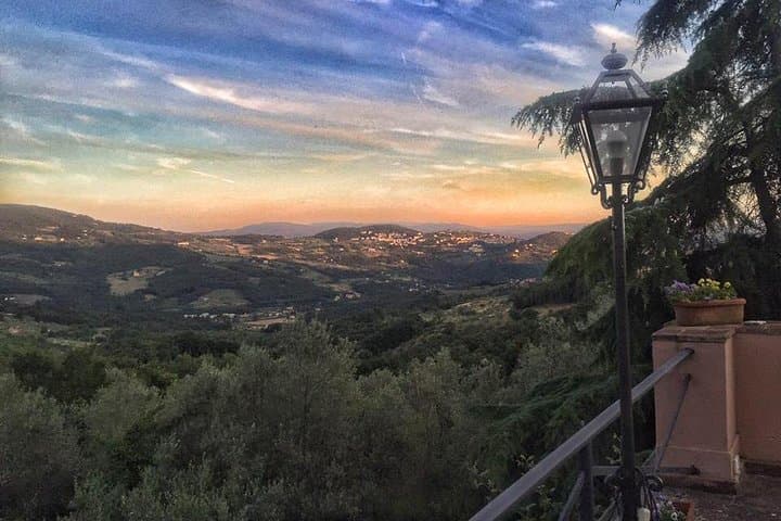Panoramic view