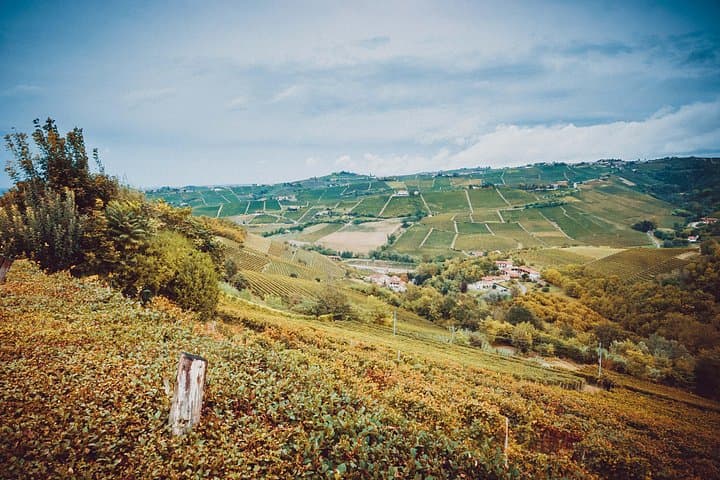view from the cellar