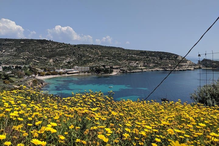 Calamosca
