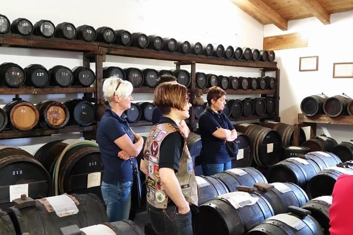 Private Day Tour & Lunch: Parmesan, Wine, and Vinegar Tasting
