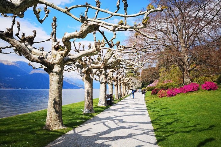 Private Tour to Bellagio on Lake Como from Stresa