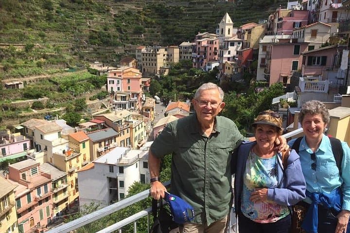 Panoramic View in Manarola
