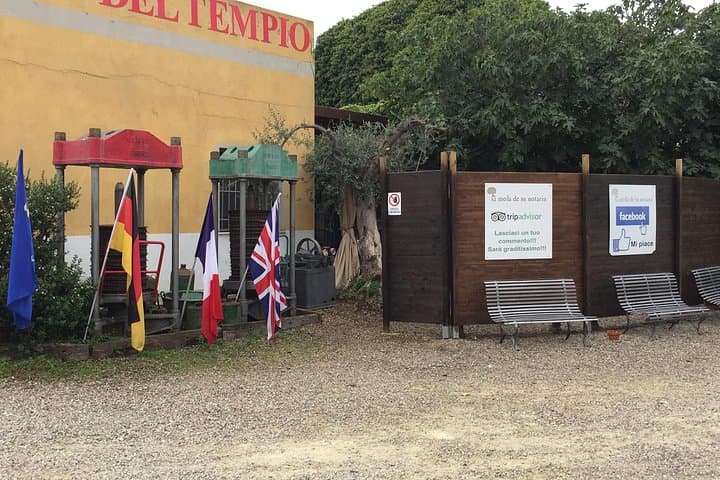 Cagliari: Exclusive Extra Virgin Olive Oil Tour at Museum