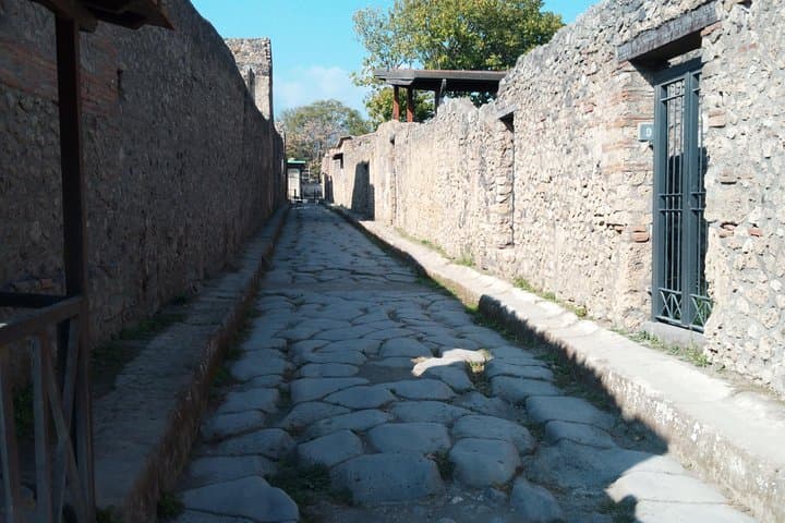 Pompeii Skip-The-Line and Sorrento FullDay from Rome