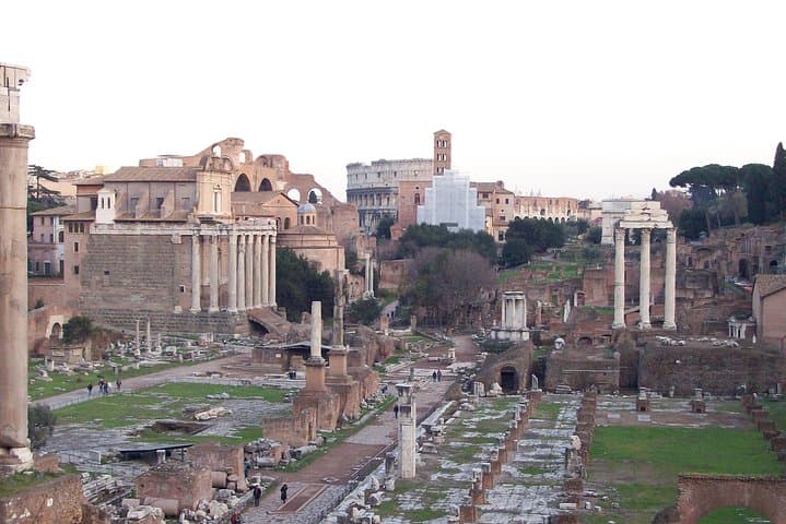 Walking Tour of the Colosseum, the Roman Forum and Palatine Hill