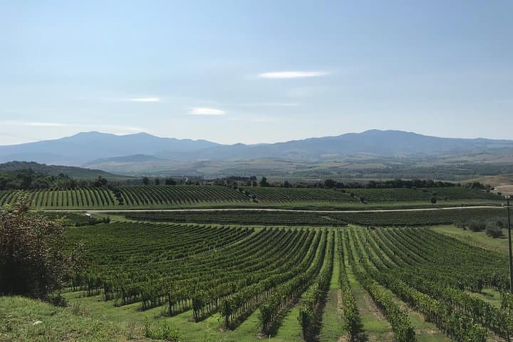 Tour di Firenze, David e Gelato Experience dal Porto di Livorno