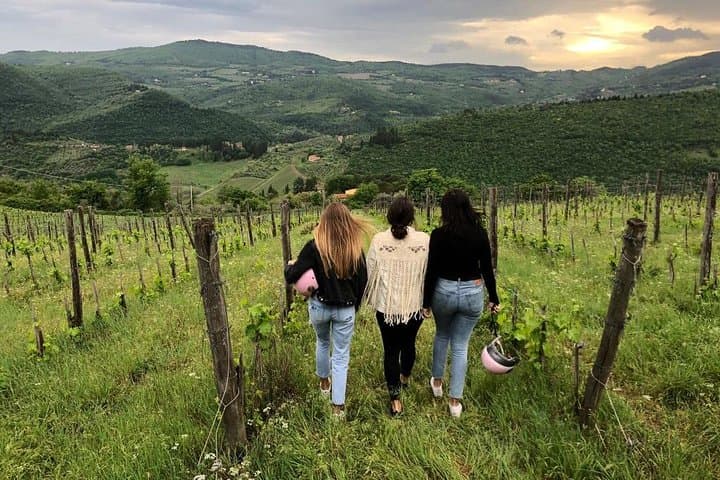 Friends&Vineyards