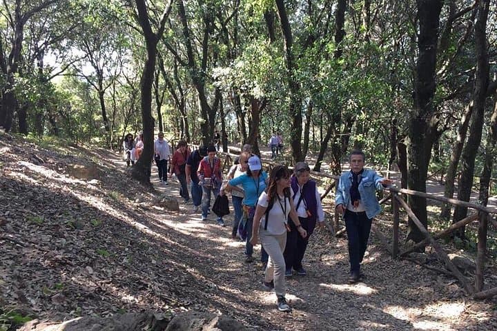 Tour in the ruins of Cuma with an archaeologist.