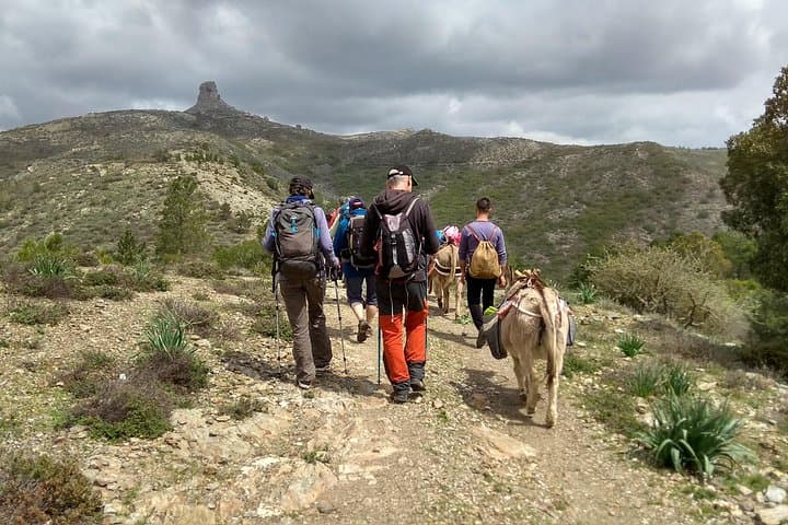 DISCOVER THE SARDINIA, THE WAYS OF TRANSHUMANCES with ANES