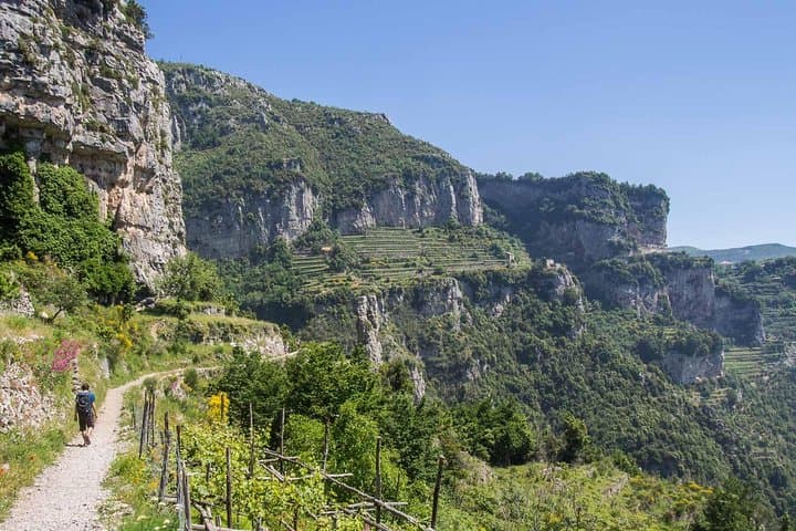 Furore wine