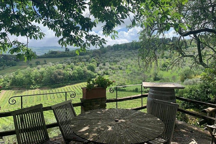 View From the winery