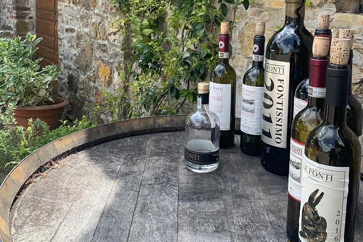 Le Fonti Winery 

Panzano in Chianti