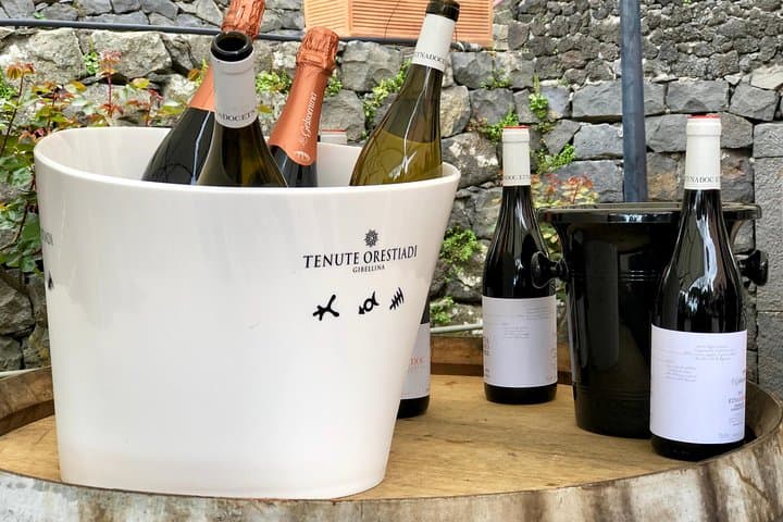 Etna Tour & Wine Experience on a farm