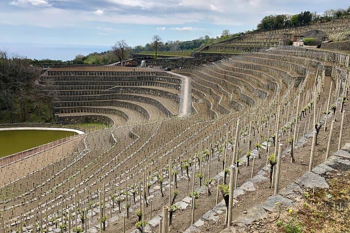 Etna Tour & Wine Experience on a farm