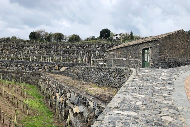 Etna Tour & Wine Experience on a farm