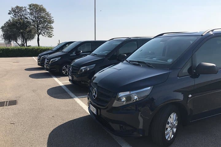Private transfer SORRENTO to NAPLES or reverse with 3 hours stop in Pompeii