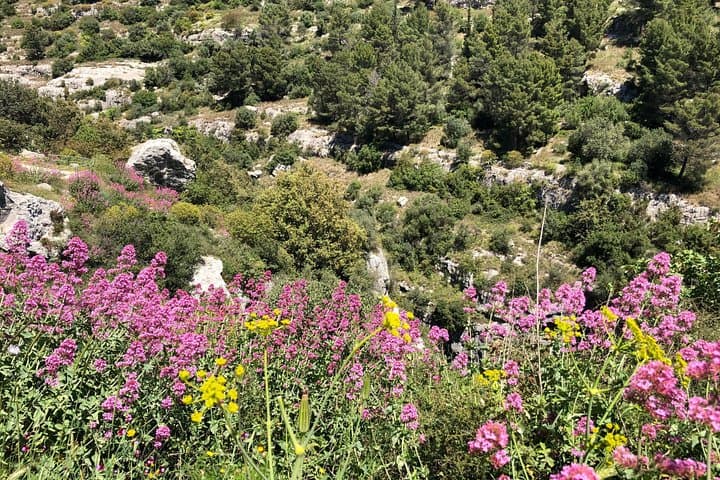 Pantalica Nature Reserve Walking Tour