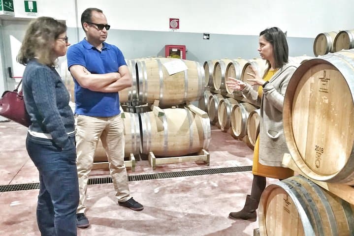 Discover the best cellars of Salento