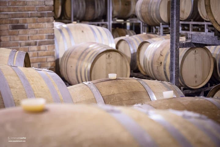 Carrique Cellar