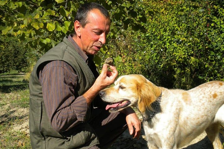Truffle Hunt & Wine Tasting