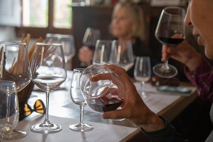 Chianti Wine Tour: Tuscan Reds