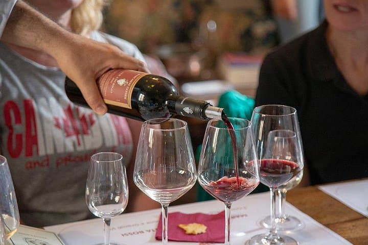 Chianti Wine Tour: Tuscan Reds