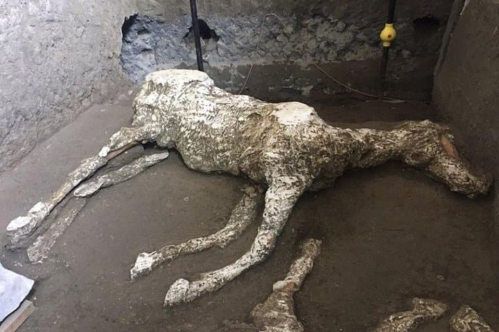 Pompeii and Herculaneum Day Tour - with Lunch from Naples