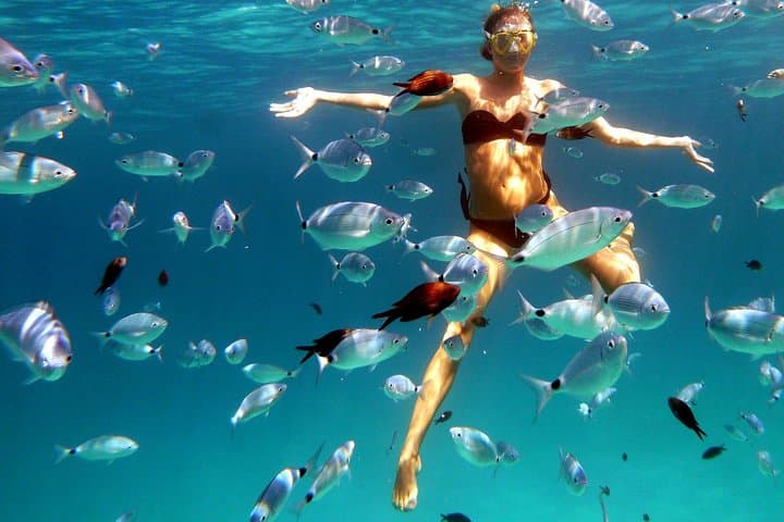 Boat Tour and Snorkeling Golfo di Olbia Private up to 6 people