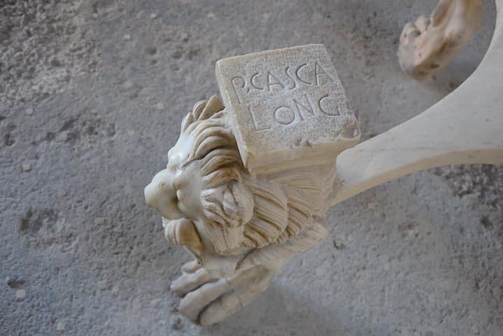 Casca Longus