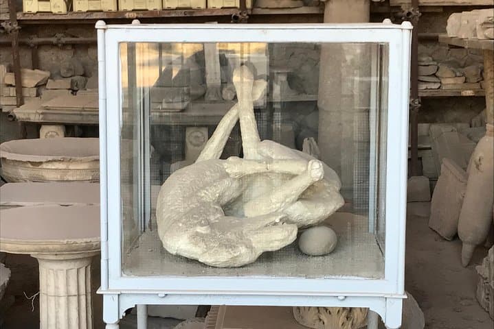 Plaster cast