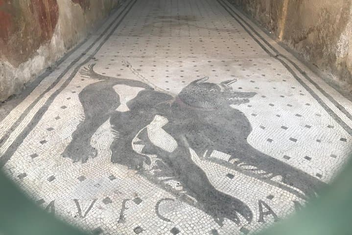 Cave canem