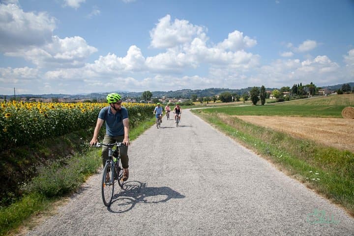 E-Bike Tour near Assisi with Wine Tasting & Winery Lunch