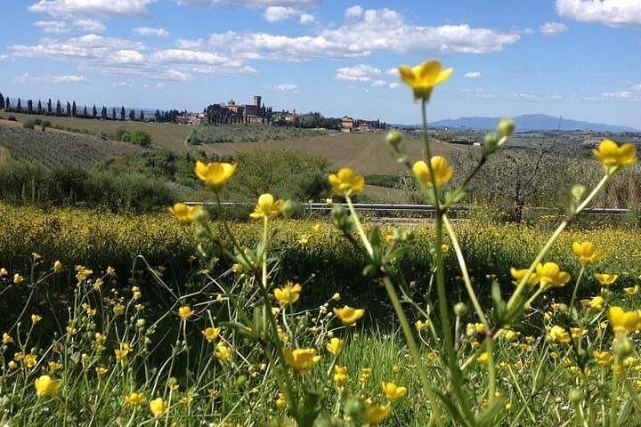 Tuscany Bike Tours Through the Chianti Hills with Wine Tasting