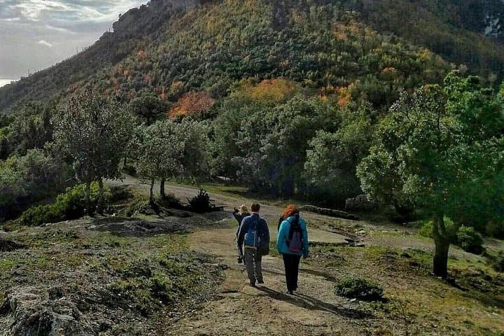 Path of the Gods