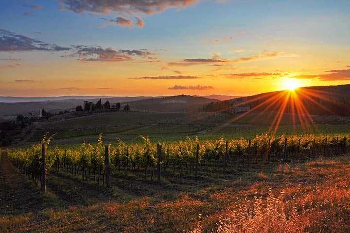 Chianti Half-day Wine Tour in the Tuscan's Hills from Pisa