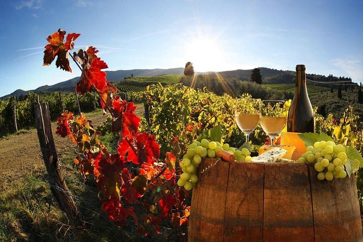 Chianti Half-day Wine Tour in the Tuscan's Hills from Pisa