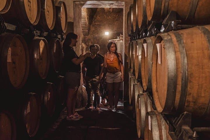Historic Castle & Brunello Wine Experience in Montalcino