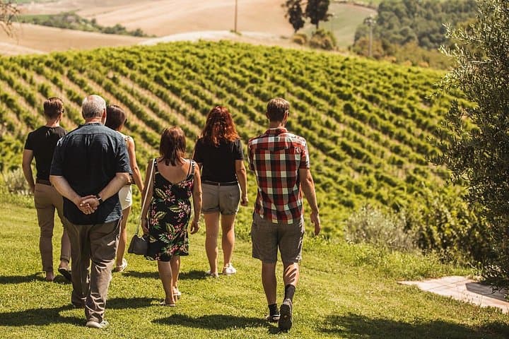 Sicilian Soul: Winery Tour, Wine & Food Tasting in Catania
