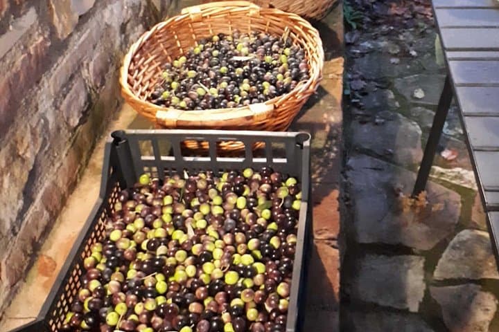 We value their hard work and effort in farming and producing quality, traditional, and genuine products.