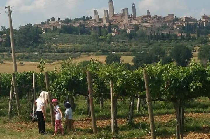 ItalyBestExcursions Siena Monteriggioni San Gimignano with Lunch&WineTasting Fullday from Rome