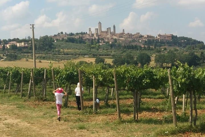 ItalyBestExcursions Siena Monteriggioni San Gimignano with Lunch&WineTasting Fullday from Rome